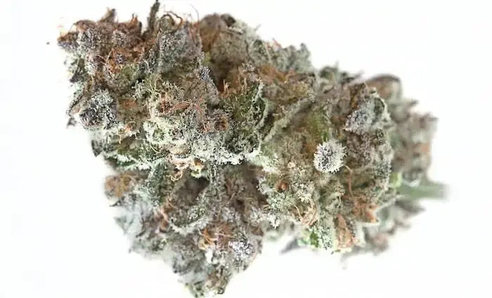 White Cherry Sherbet