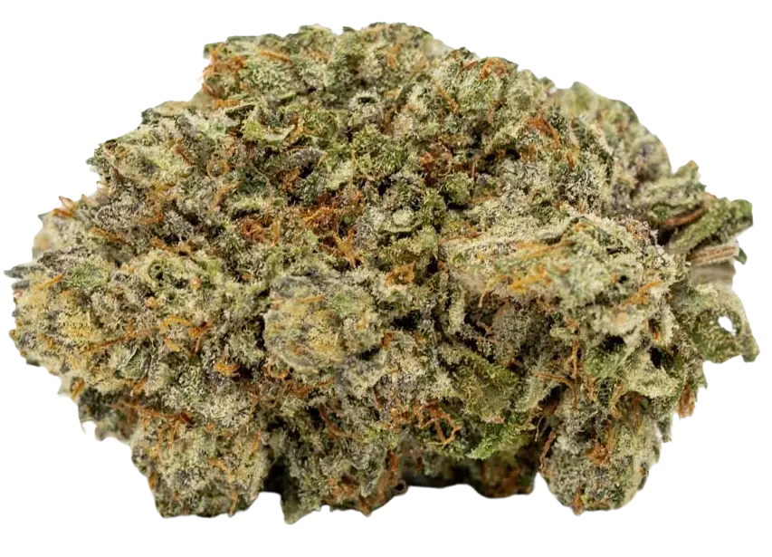 Super Glue