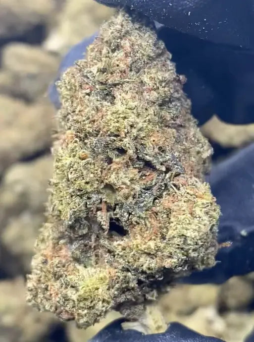 Candy Cake
