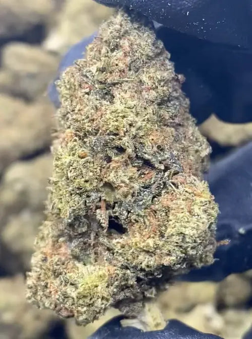 Candy Cake