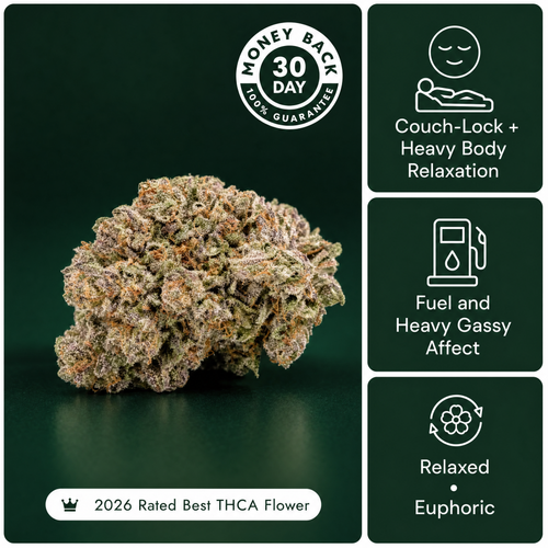 Gorilla Glue