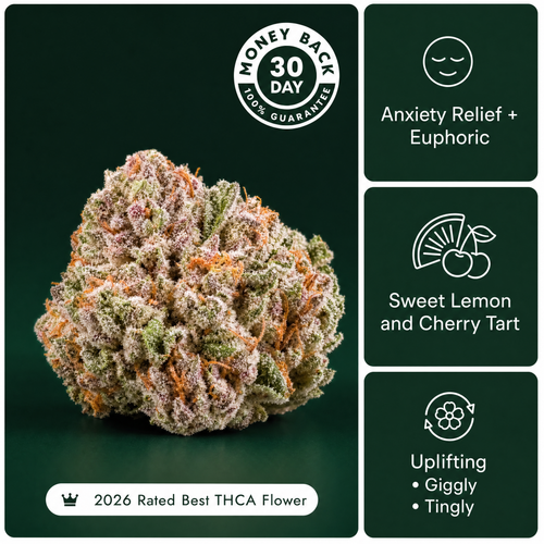 Lemon Cherry Gelato