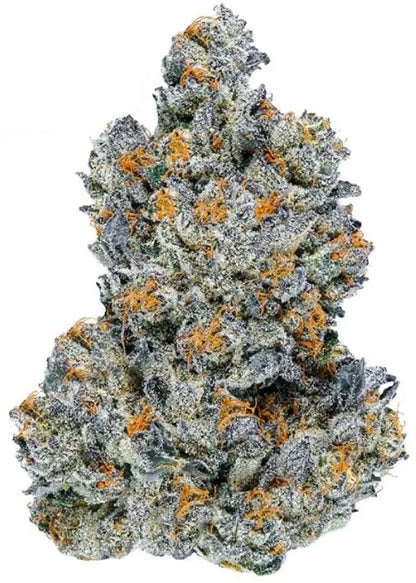 Lemon Cherry Gelato