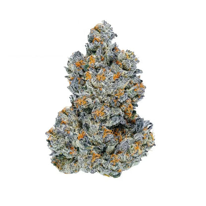 Lemon Cherry Gelato
