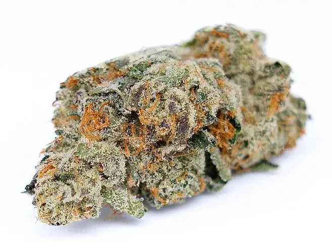 White Cherry Gelato