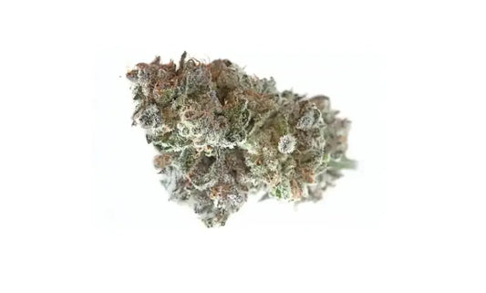 White Cherry Sherbet